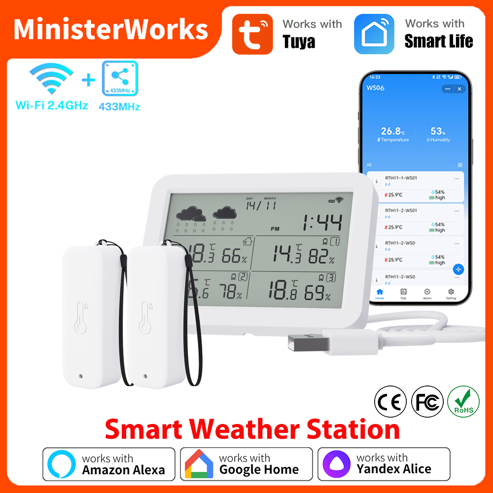 Outdoor Power Meter - Tuya WiFi Weather Station RF433 Wireless